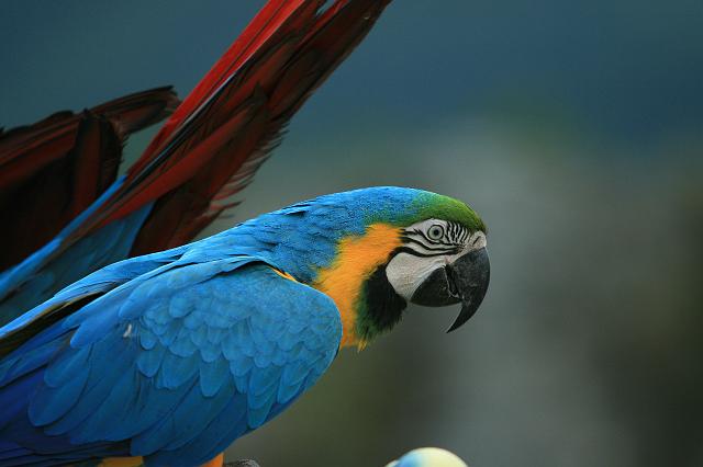 IMG_14047.JPG