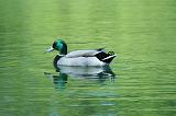IMG_6565