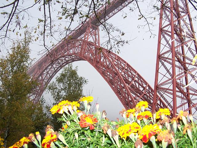 101_2045.JPG