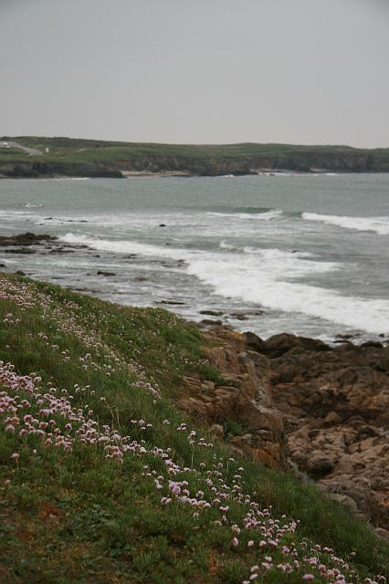 IMG_6736.JPG
