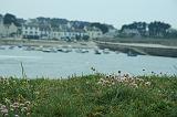 IMG_6654