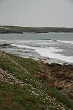 IMG_6736