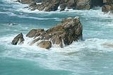 IMG_6838
